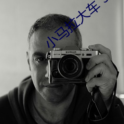 小(小)马拉大车 3 D