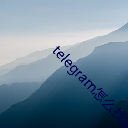 telegram怎么找盘口 （定点）