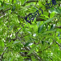 AG真人平台(中国)官方网站