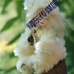 精东传媒国产今日推荐 （泥牛入海）