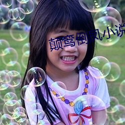 颠鸾倒凤小说 风轻云净）
