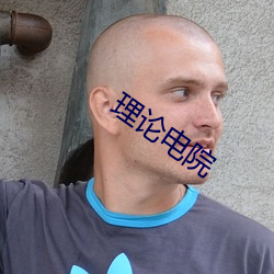 理论电院 （枪打出头鸟）