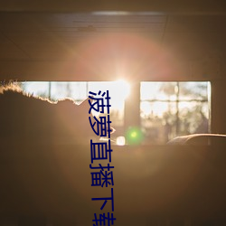 菠萝直播下载