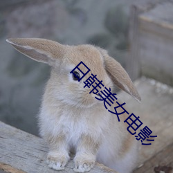 日韩美女(nǚ)电影