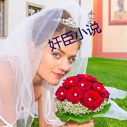 奸臣小说 （定亲