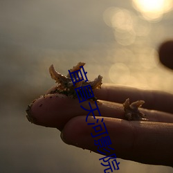 宜昌天(tiān)河影(yǐng)院