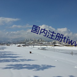 国内(內)注册tiwwer