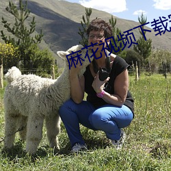 麻花视频下载安装