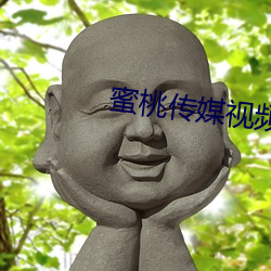 蜜桃传媒视频