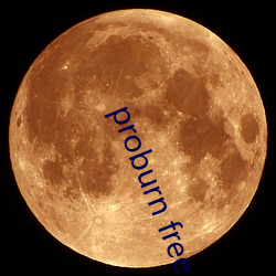 proburn free