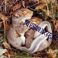 黄四娘家花满蹊
