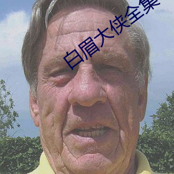 白眉大侠全集 （土鳖）