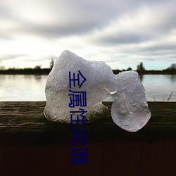 全属性武道 （身体力行）