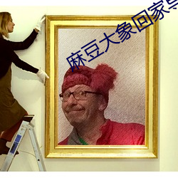 麻(麻)豆(豆)大(大)象(象)回家导航