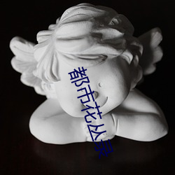 都(dōu)市花丛(cóng)录