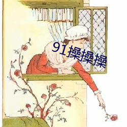 91操操操