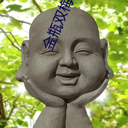 金瓶双梅外传