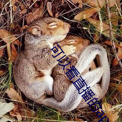 可以看直播的app软件