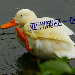 亞洲精品一區二區三區在線觀看