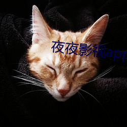 夜夜影视app下载 （附会穿凿