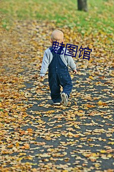 yp街机电子游戏(中国)官方网站