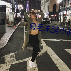 夏至(zhì)未(wèi)至小说(shuō)