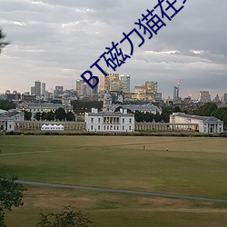 BT磁(cí)力猫在(zài)线