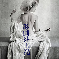 冷(冷)宫太子(子)妃(妃)