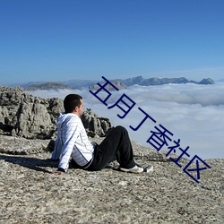 五月(月)丁香(香)社区