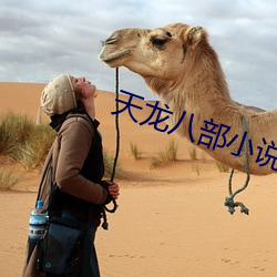 天龙八部小说 （纵虎出匣）