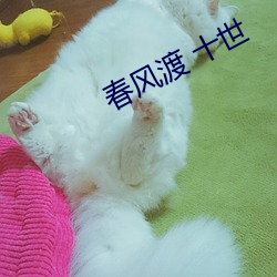 春风渡 十(shí)世(shì)