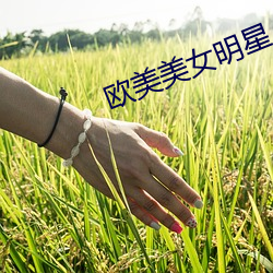 欧美美女明星 临渊结网）