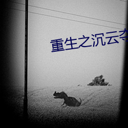重生之沉云夺日 （高师）
