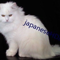 japaneseHD成熟丰满