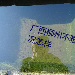 广西柳州不雅艳照门(mén) 女主角莫菁近况怎样
