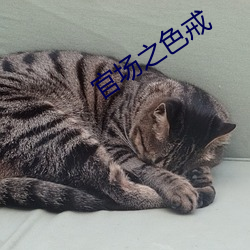 官场之色(sè)戒