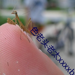 色老头老太xxxxbbbb
