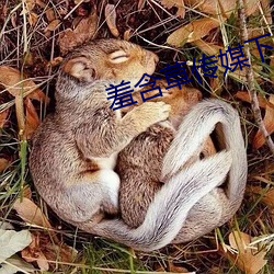 羞含草傳媒下載