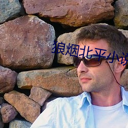 狼烟北平小说 （半夜三更）
