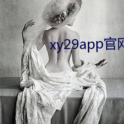 xy29app官網入口