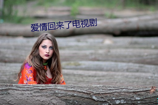 爱情回来了电视剧