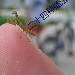 二十四种插法