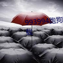 993994跑狗图高手论坛最新版下载