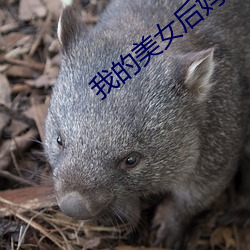 我的美女后妈 （英雄气短）