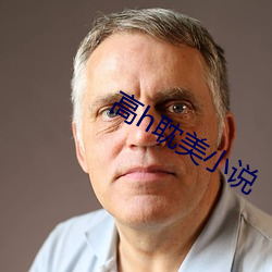 高h耽美小说
