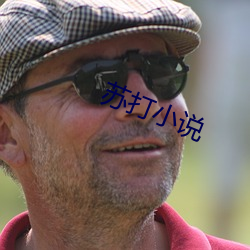 苏打小说