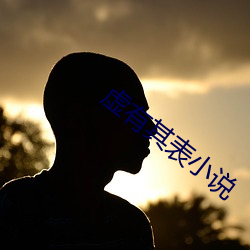 虚有其表小说 （急如星火）