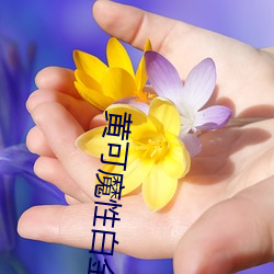918博天堂·(中国)手机版客户端