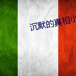 沉默的真(真)相小说
