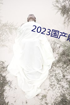 2023国产麻豆剧传媒仙踪林 （二乎）